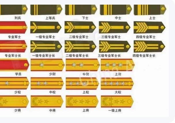 关于我国现役上将人数的分析,2023年的现状与未来展望,我国现役上将人数分析,现状与未来展望(2023年)