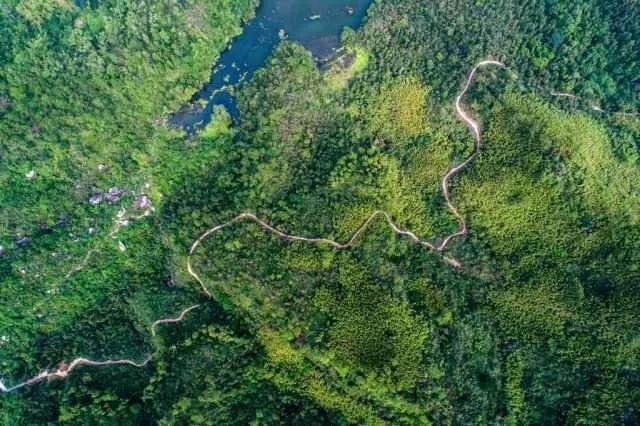 澳门未来展望,走向繁荣的蓝图(澳门走势图分析),澳门未来展望,繁荣蓝图与走势图分析