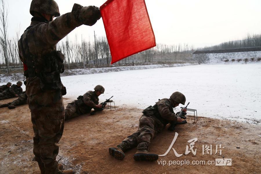 第12集团军,维基百科视角下的历史与现状,维基百科视角下的第12集团军历史与现状