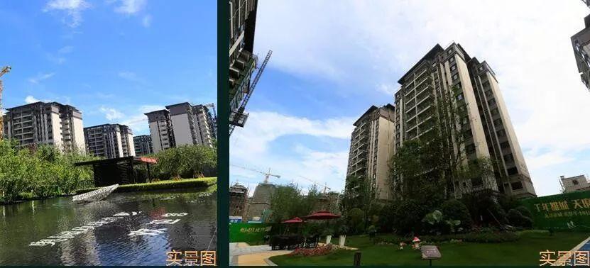 澳门最快开奖资料242,揭秘彩票背后的秘密,揭秘澳门彩票开奖背后的秘密与资料解读(独家报道)