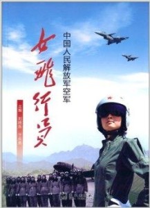 中国人民解放军空军构成概览，中国人民解放军空军构成概览，揭示其力量与荣耀