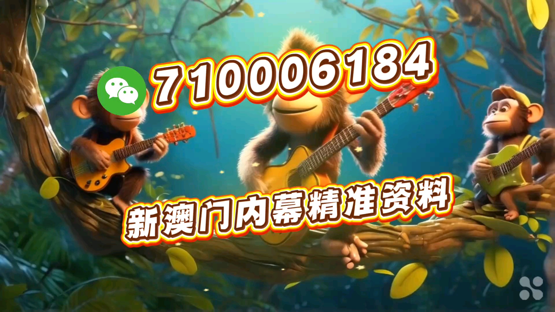 内部二肖二码，揭秘与探索，内部二肖二码，揭秘与探索的神秘面纱