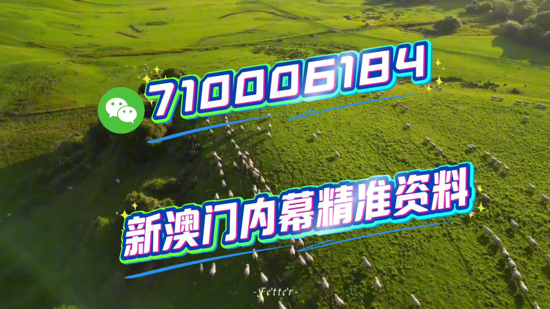 澳门特马今晚开奖，一个引人瞩目的背景故事，澳门特马今晚开奖，引人瞩目的背景故事揭秘