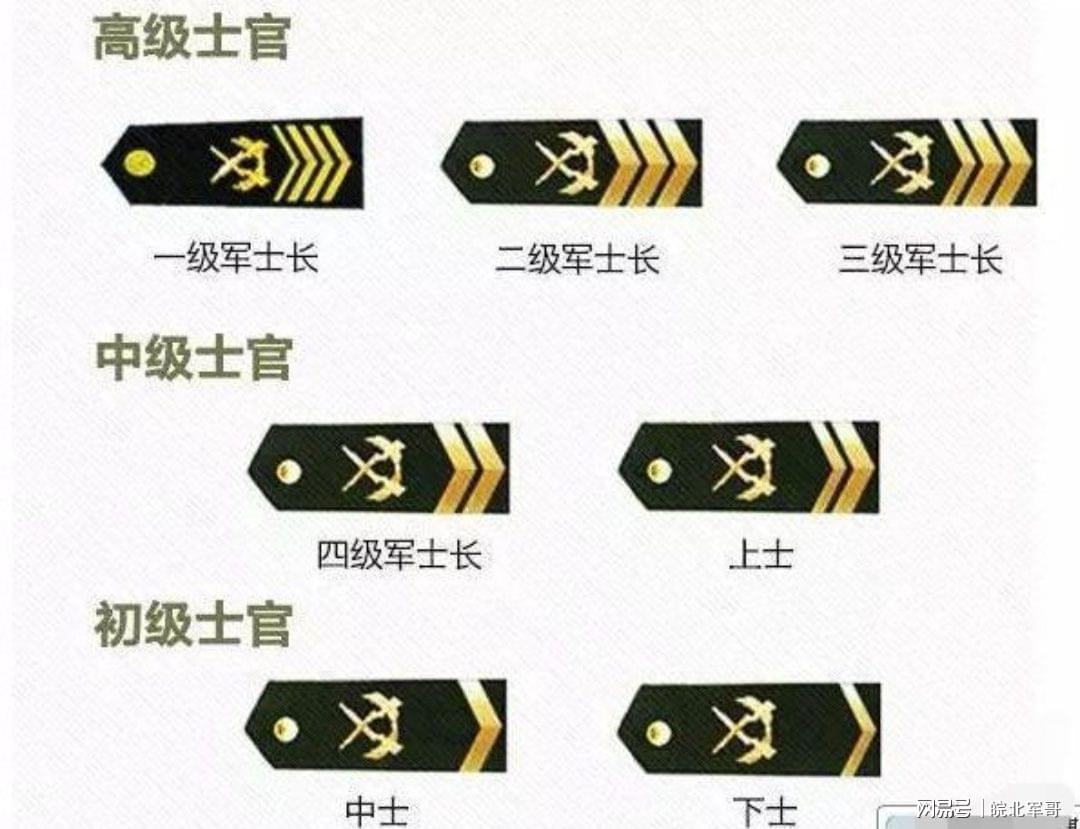 两会部队士官改革最新消息深度解读,两会部队士官改革最新动态深度解析