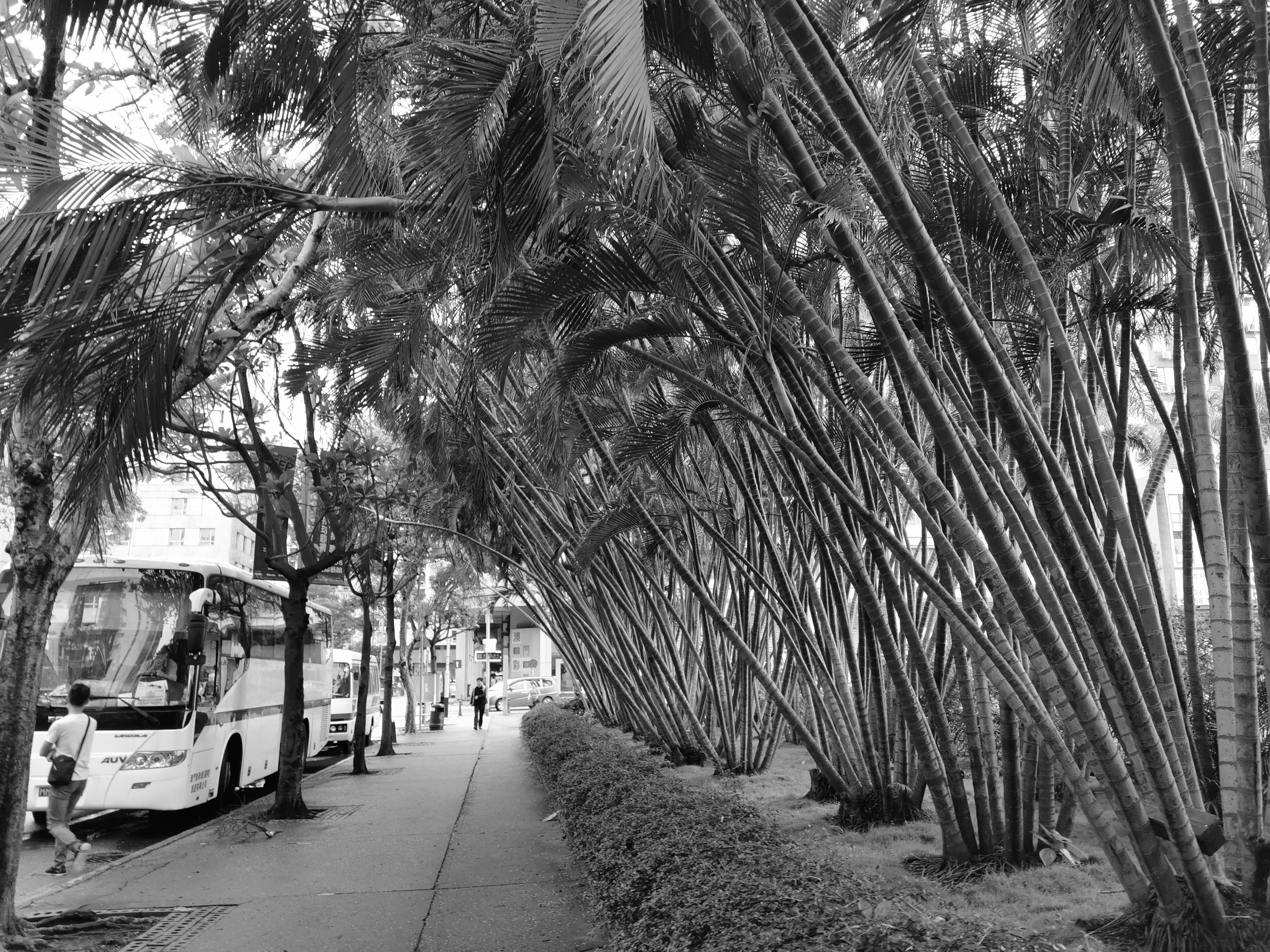 澳门手机最快开奖结果解析，澳门手机最快开奖结果解析及预测