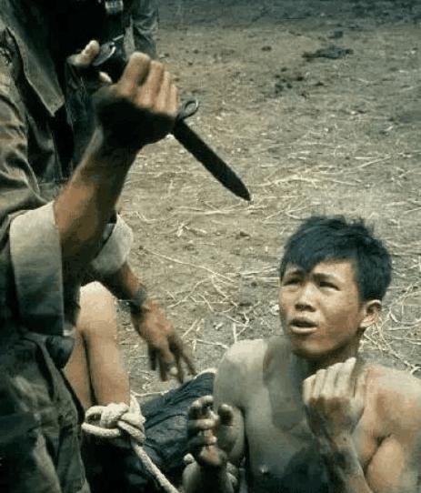 越南网友眼中的中国女兵,坚韧与力量的象征,越南网友视角下的中国女兵,坚韧与力量的典范