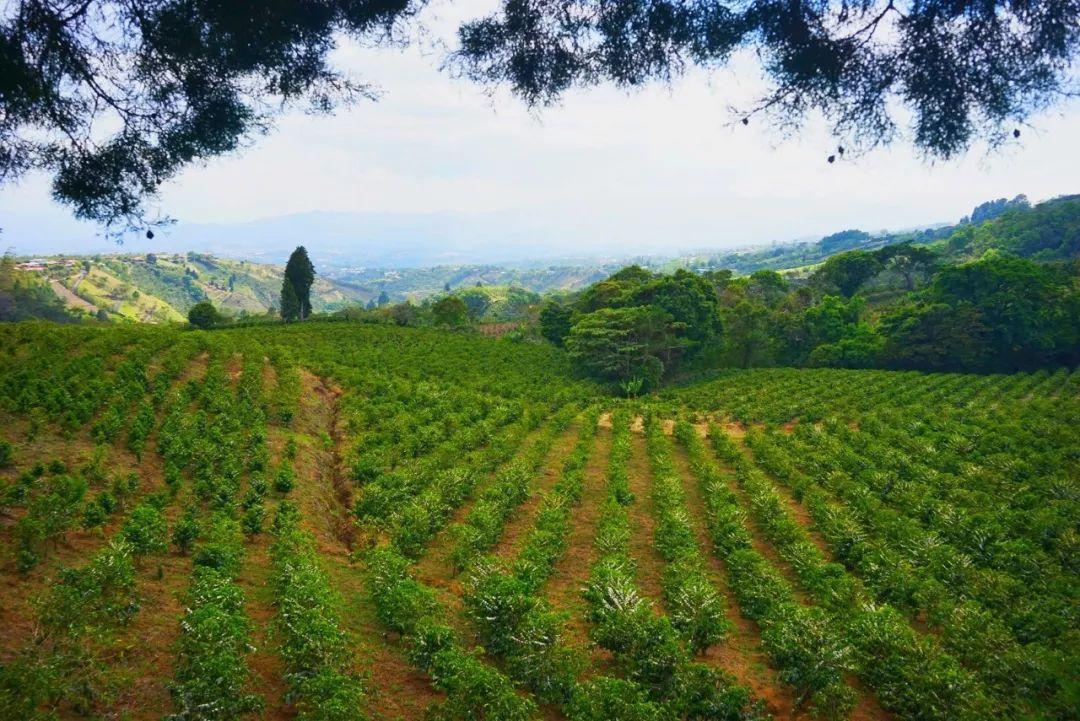 军事农业频道是否删除,深度分析与探讨,军事农业频道是否遭遇删除,深度分析与探讨