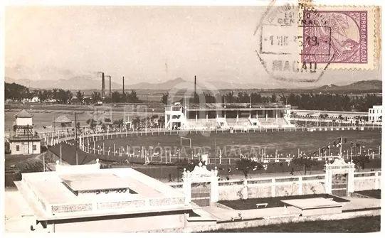 新澳门跑狗图正版免费,探索与解析,澳门正版跑狗图探索与解析指南