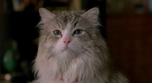 俄罗斯被制裁后的现状，俄罗斯制裁后的现状与挑战