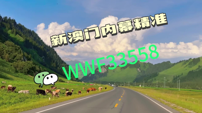 王中王澳门特肖一马,探寻背后的故事与奥秘,王中王澳门特肖一马,背后的故事与奥秘探寻