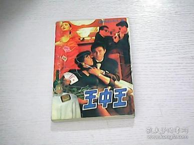 王中王平特一肖秀家网,探索与解析,王中王平特一肖秀家网,深度探索与解析