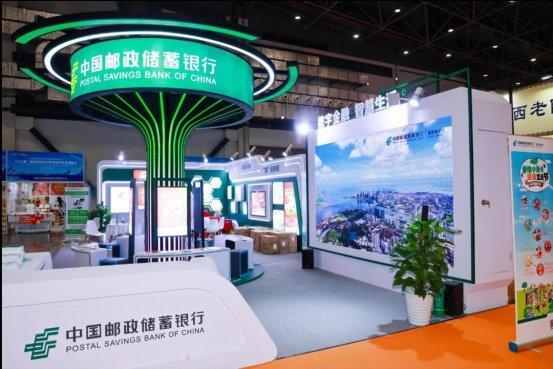 新澳门六开奖结果码,探索与解读,新澳门六开奖结果码深度解读与探索