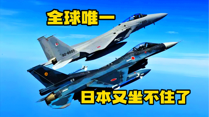 中国空军装备的重型歼击机,力量与荣耀的象征,中国空军重型歼击机,力量与荣耀的空中象征