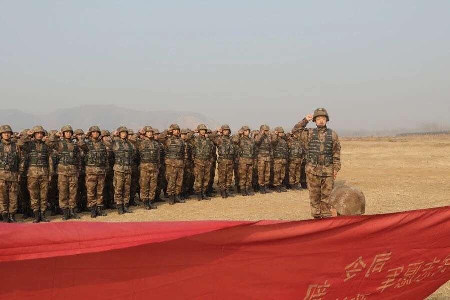 中国解放军陆军规模概况，中国解放军陆军规模概览