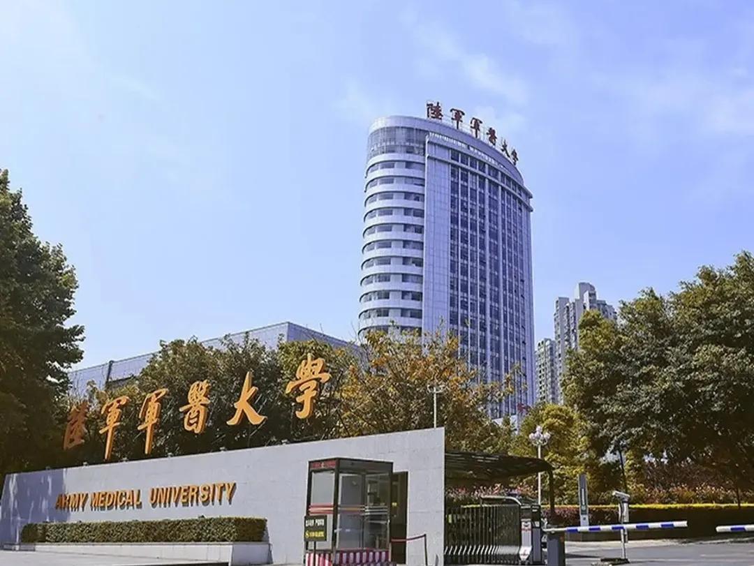 中国解放军陆军规模概况,中国解放军陆军规模概览