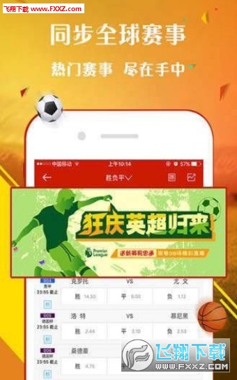 王中王赢钱六肖网站一,探索与解析,王中王赢钱六肖网站一,深度探索与解析