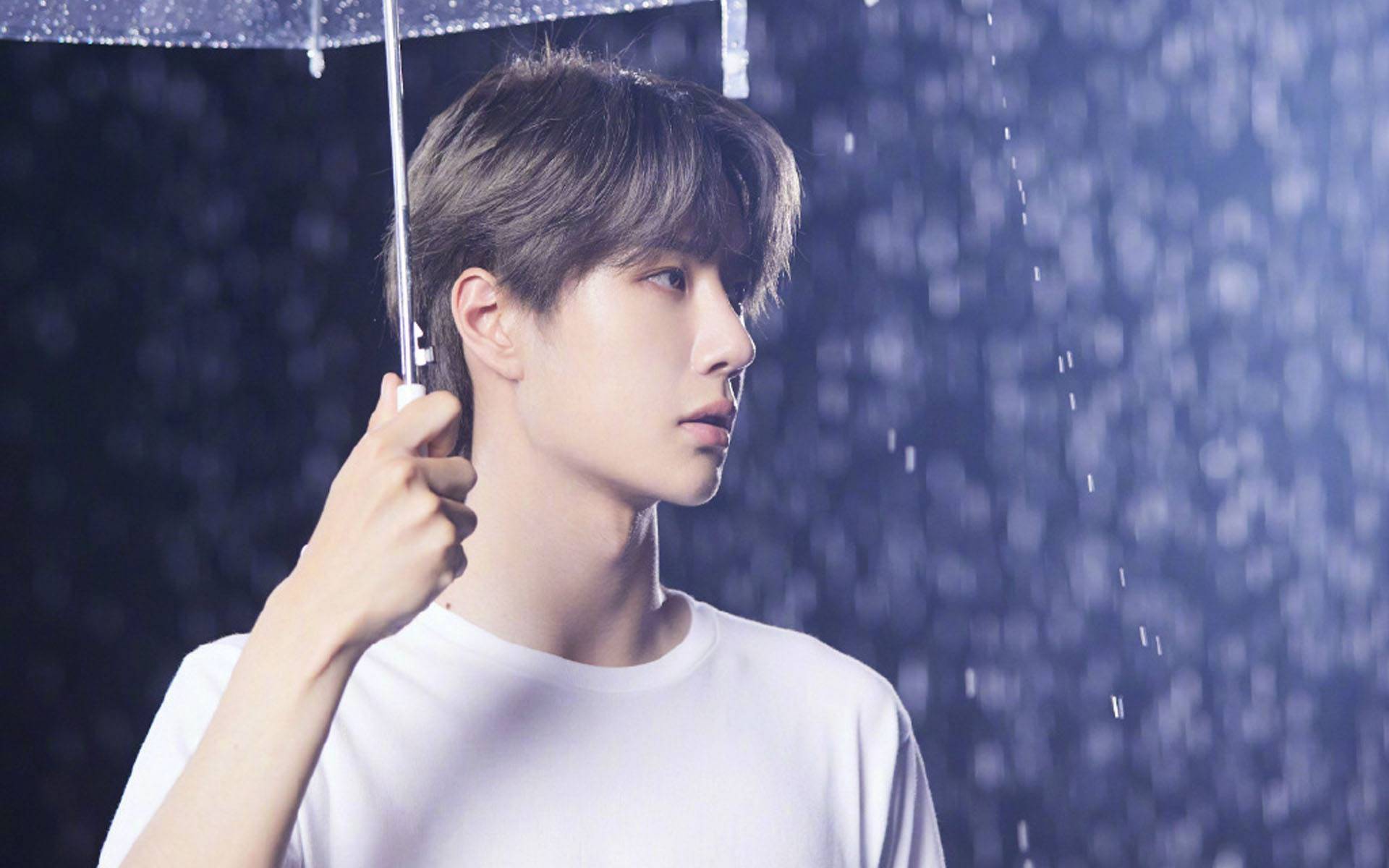 王中王一肖中特准丶稳——精准预测的魅力与力量，精准预测的魅力与力量，王中王一肖的稳定预测