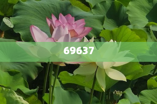 迈向未来的数据宝库,2025全年资料免费大全,迈向未来的数据宝库,2025全年资料免费大全总览