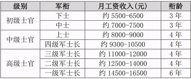 士官制度历史，演变与发展，士官制度的演变与发展历程