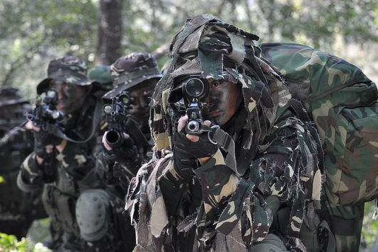 中国最强的特种兵部队,精锐之师的荣耀与担当,中国精锐特种兵部队,荣耀与担当的荣耀之师