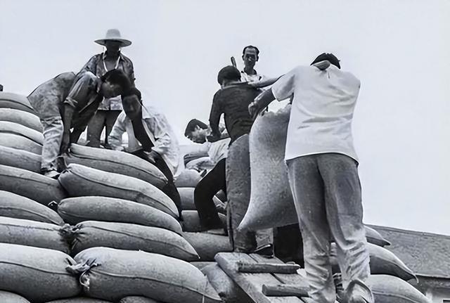 深度解析，2020环太平洋联合军演，深度解析，环太平洋联合军演全景展示与战略意义（附详细报道）