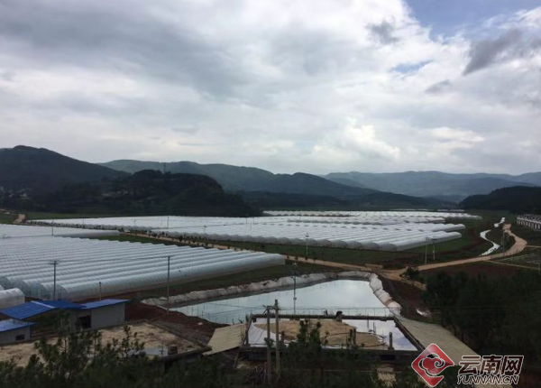 关于我国四大集团驻地的深度解析,我国四大集团驻地深度解析与探讨