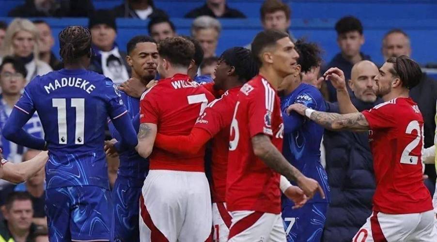 新奥2025年免费资料大全概览,新奥2025年免费资料大全全面解析