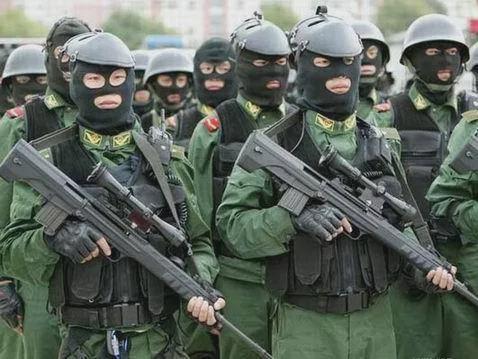 中国特种反恐部队,力量与荣耀的象征,中国特种反恐部队,力量与荣耀的彰显