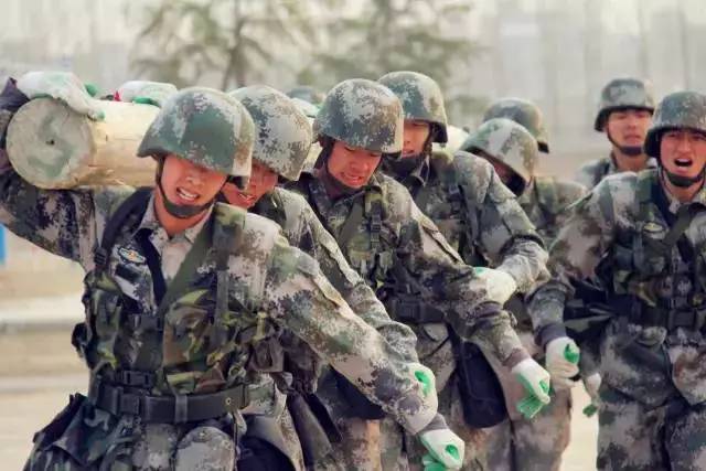 武警部队历史简介,武警部队历史简介概览