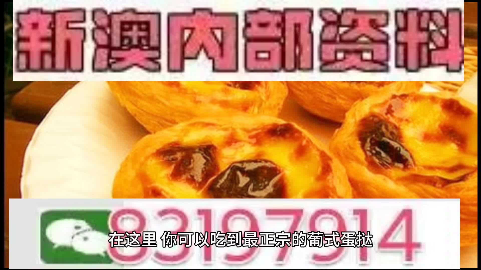 澳门二肖必中，探索与揭秘，澳门二肖必中揭秘与探索之旅