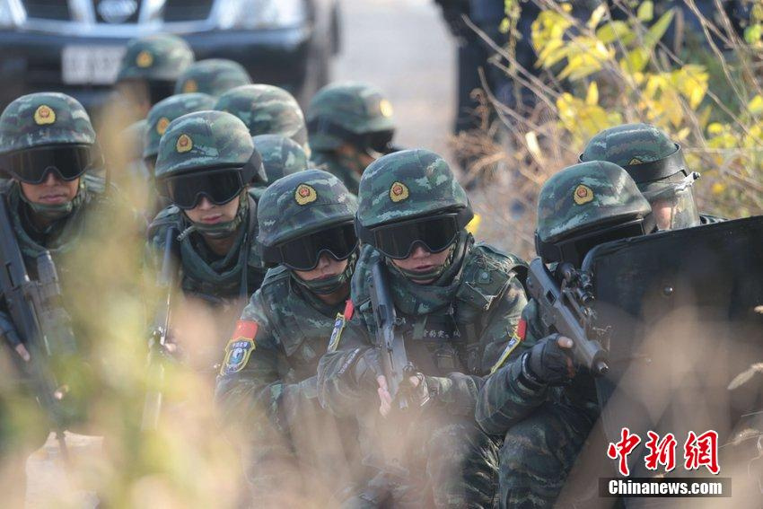 蛟龙雪豹,突击队的力量与荣耀,蛟龙雪豹展现突击队力量与荣耀