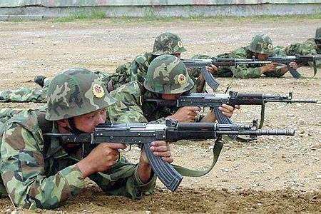 中国特种部队步枪概览，中国特种部队步枪全面解析