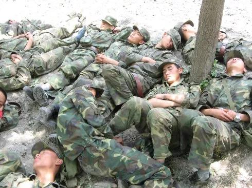 部队番号的规定,历史、意义与制度管理,部队番号,规定、历史、意义与制度管理解析