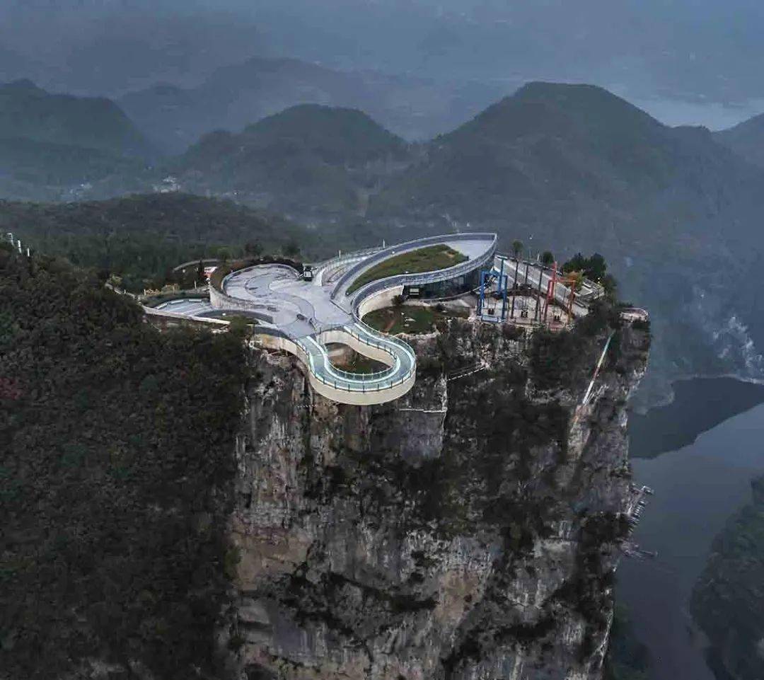 王中王平特一肖大公开揭秘,探寻背后的故事与真相,王中王平特一肖大揭秘,探寻背后的故事与真相