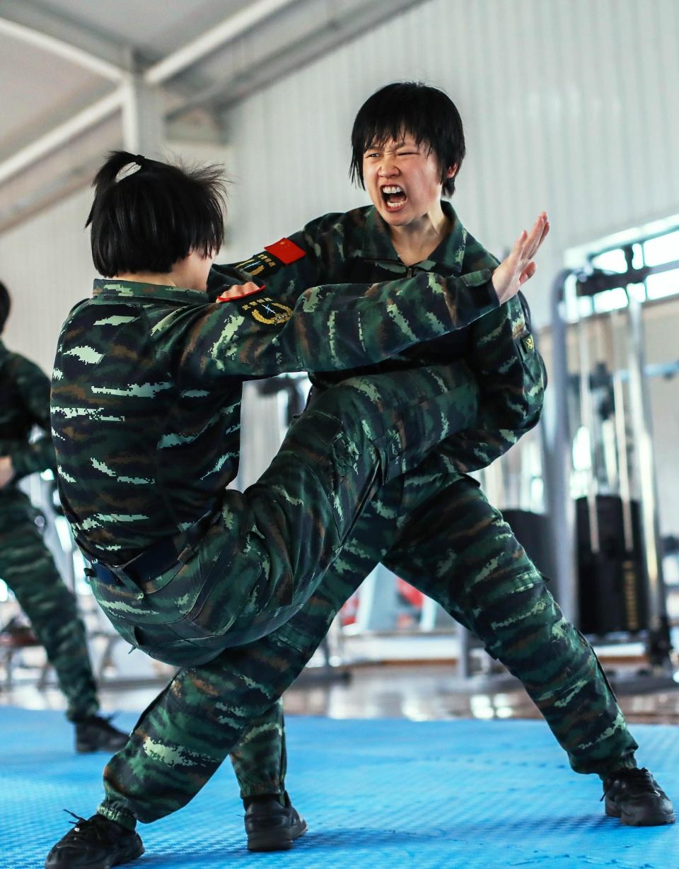 中国武警军装图片大全,历史、种类与特色,中国武警军装图鉴,历史、种类与独特风采