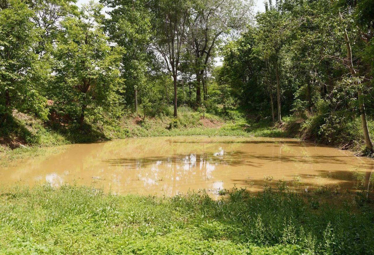 澳门最精准正最精准的龙门,探索与解析,澳门最精准龙门,探索与解析