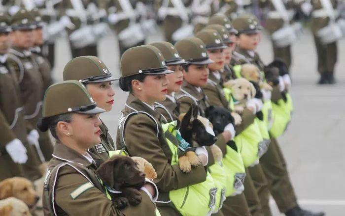 中国人民解放军仪仗队女兵抱着孩子的形象,荣耀与母爱的交织,中国人民解放军仪仗队女兵抱子形象,荣耀与母爱的完美交融