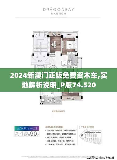 探索澳门新机遇，2025新澳门正版免费资源车的发展之路，澳门新机遇探索，2025年正版免费资源车发展之路