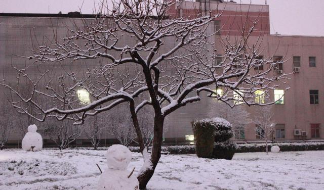 最新消息,今年北方雨季的态势与影响分析,北方雨季最新态势及其影响分析