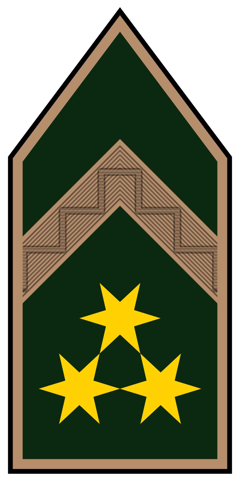 各国的军衔等级及标志,全球各国军衔等级与标志详解