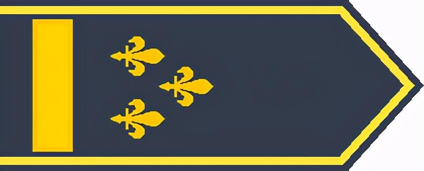 各国的军衔等级及标志,全球各国军衔等级与标志详解