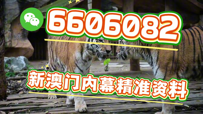 澳门今晚必开一肖期期,探索运气与策略的平衡点,澳门今晚必开一肖,运气与策略的平衡点探索