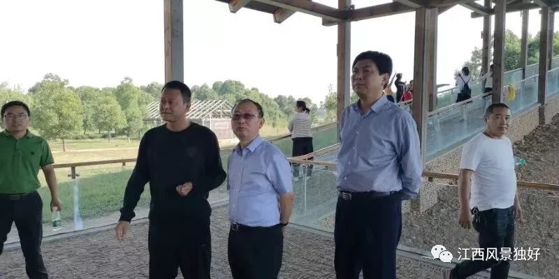 易练红最新消息,展现新时代领导风采,易练红最新动态,展现新时代领导风采