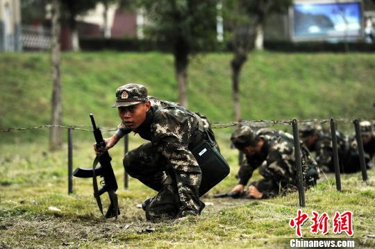 新兵训练,塑造精英之路,新兵训练,精英之路的锻造之旅