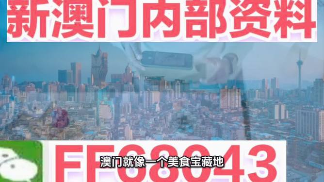 2025新澳门最精准免费大全——探索未来的澳门特色与发展蓝图,澳门未来展望,特色发展蓝图与精准指南
