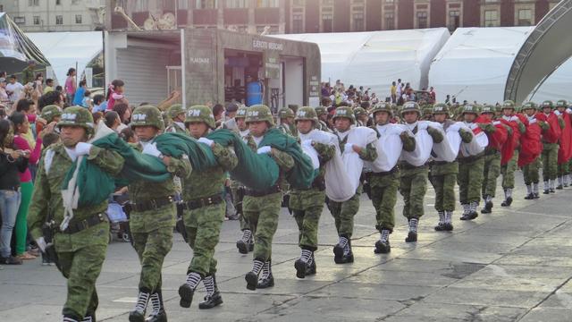 墨西哥军力概览,现实与潜在挑战,墨西哥军力概览,现实挑战与潜在发展分析