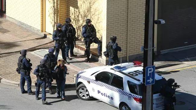 特种警察学院毕业去向,多元化发展的职业路径,特种警察学院毕业后的发展方向,多元化职业路径探索