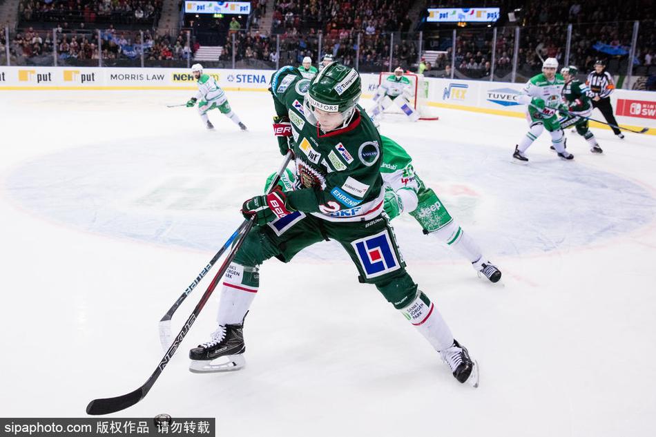 王中王六肖期期中一的独特魅力与探索，王中王六肖期期中一的独特魅力与奥秘探索