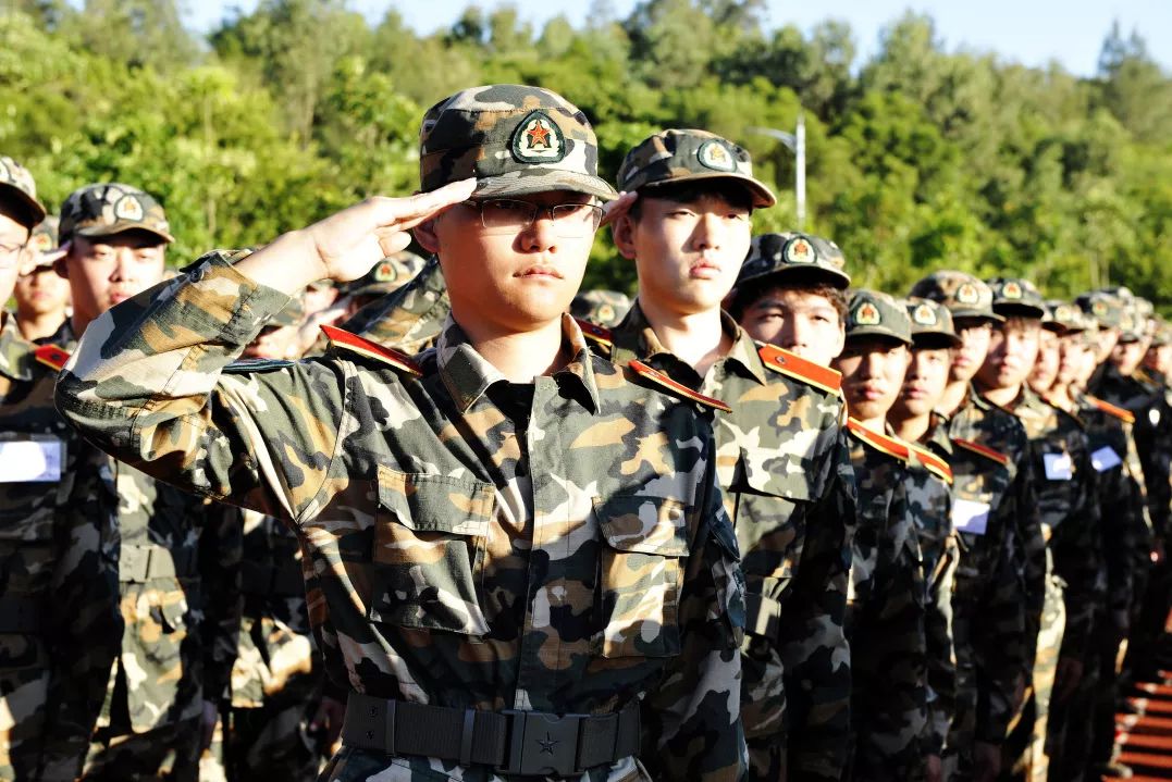 空降兵15军尖子连队,精英之师的荣耀与传承,空降兵尖子连队,精英荣耀与传承的传奇故事