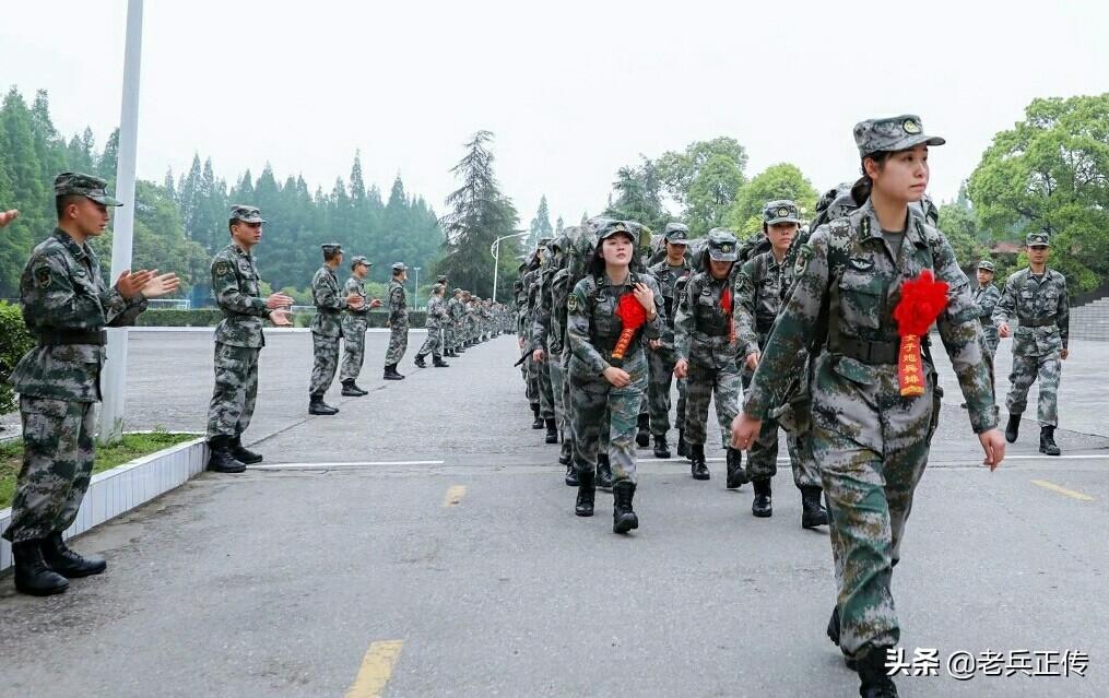 中国集团军番号变更,历史沿革与现代发展,中国集团军番号变迁,历史沿革与现代进展